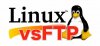 VSFtpd 上传出现 553 Could not create file 错误的解决办法